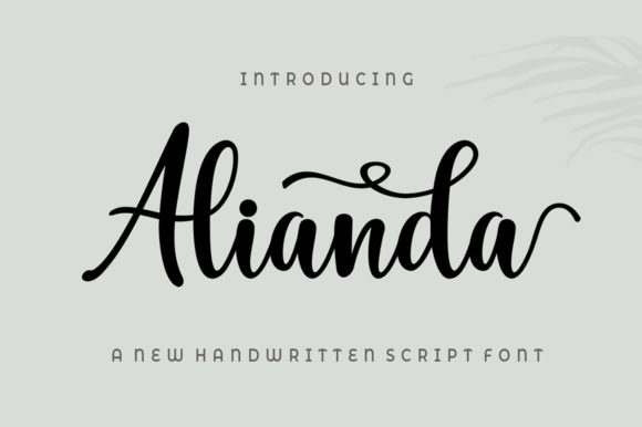 Alianda Script: Elevate Your Design with Modern Calligraphy